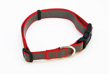 Dog Leash - Utopia Alley - 2